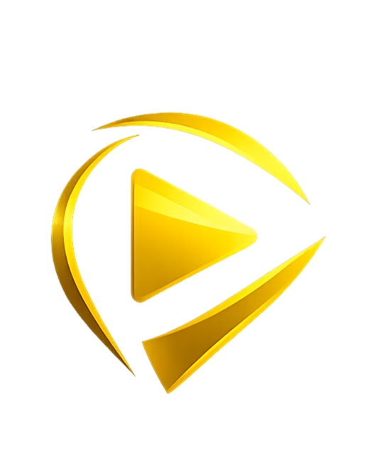 VIDMEX Logo